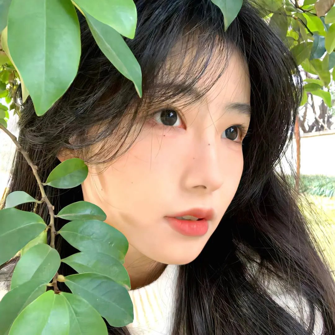 印度之夏 第二季